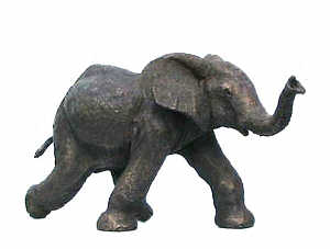 Etosha Baby Elephant