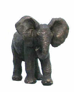 Mweya Baby Elephant